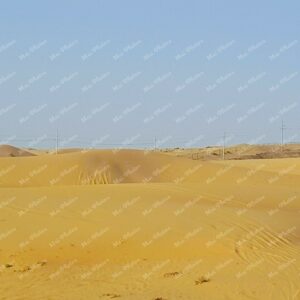 Dunes at the desert in the Middle East Abu Dhabi United Arab Emirates (UAE) 14