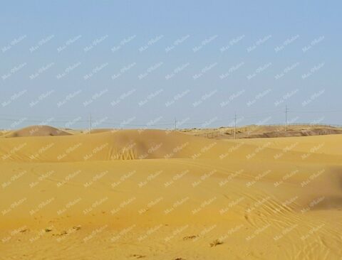 Dunes at the desert in the Middle East Abu Dhabi United Arab Emirates (UAE) 14