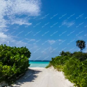 White Sand Near The Abaco Club Luxury Villa In Winding Bay At Sandy Point Abaco The Bahamas
