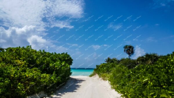 White Sand Near The Abaco Club Luxury Villa In Winding Bay At Sandy Point Abaco The Bahamas