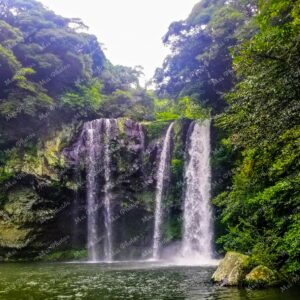 Greenery at the Cheonjeyeon Waterfalls in Jeju Korea 19