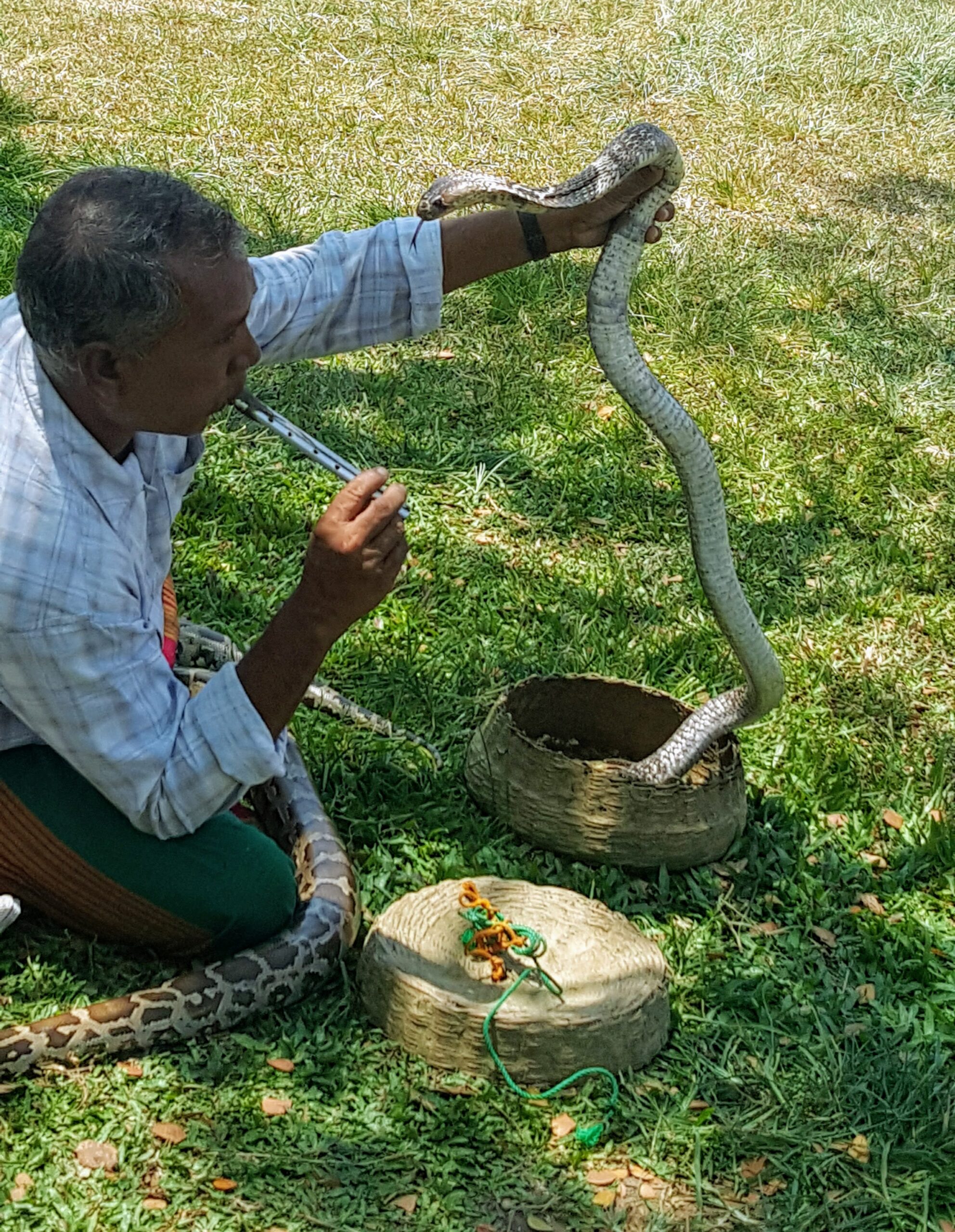 Snake Charmer, Sri Lanka