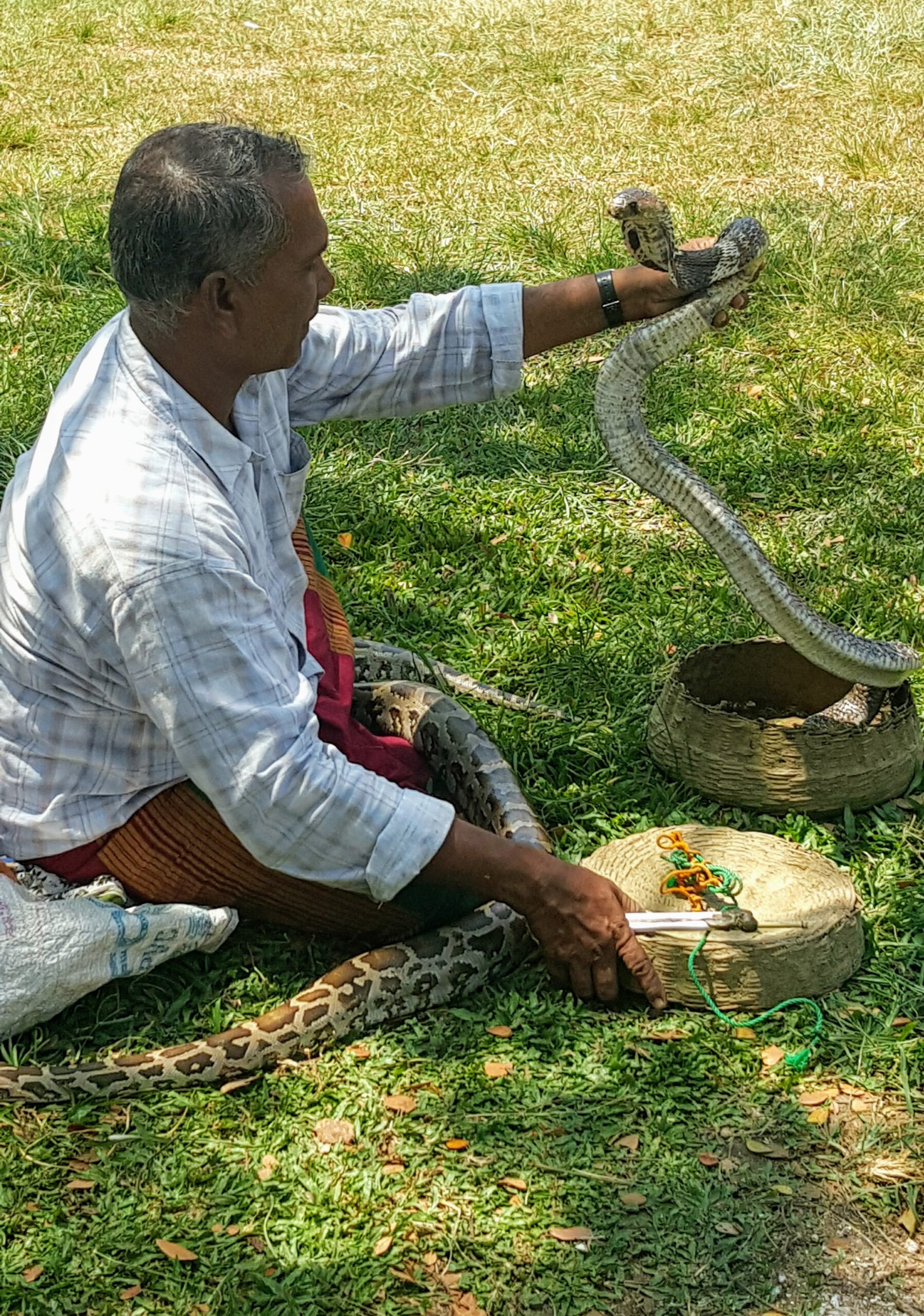 Snake Charmer, Sri Lanka