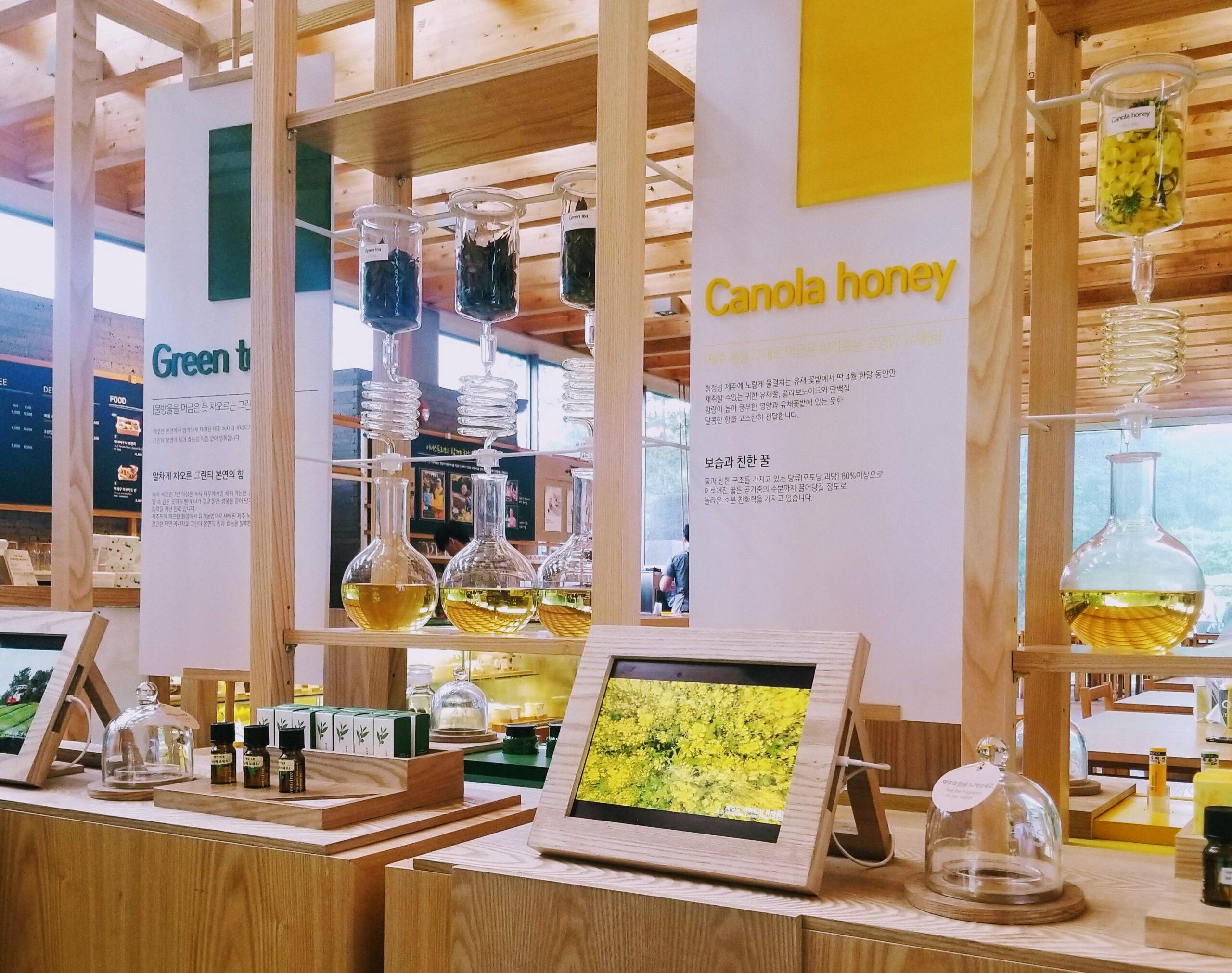 Mei Photos - Download the best high res Asian and Caribbean stock images for travel, tourism, social media, digital marketing, and photography.