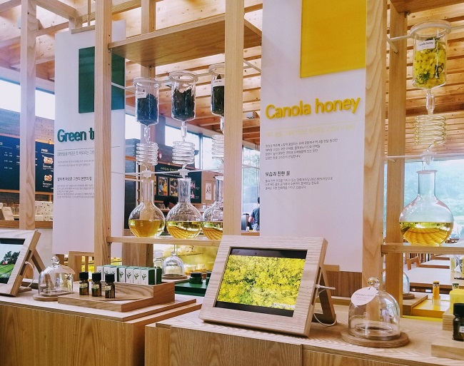 Innisfree Jeju House, Jeju Island, South Korea