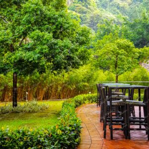 Outdoor greenery and trees with chairs