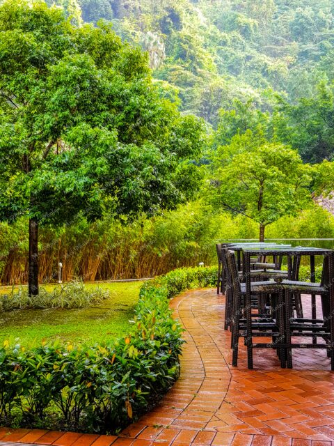 Outdoor greenery and trees with chairs