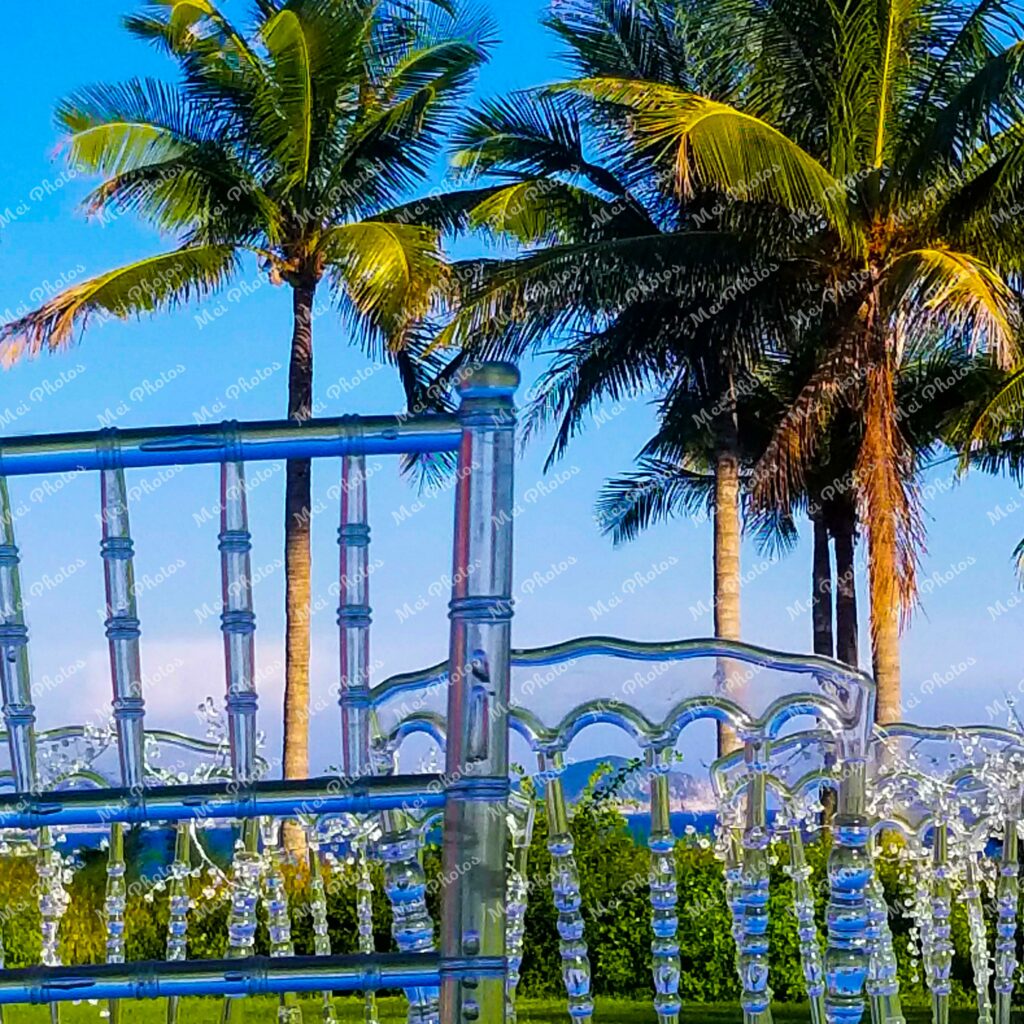 Glass Wedding Chair with Palm Tree in Sanya China