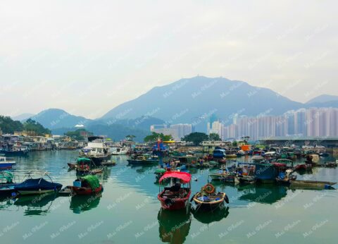 Boats in fishing village in Hong Kong Harbor With Mountains