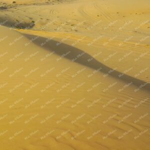 Dunes desert in Middle East Abu Dhabi United Arab Emirates (UAE)