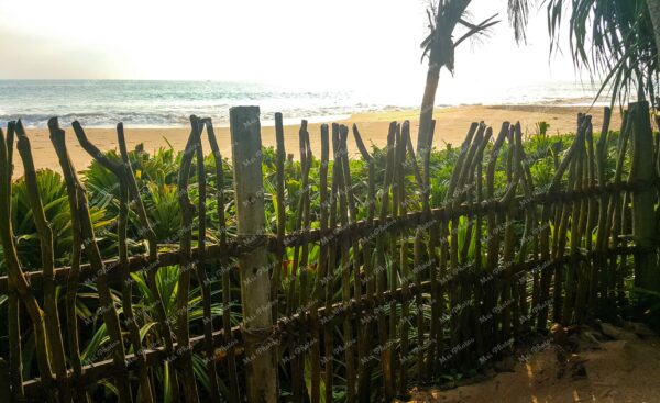 Wooden fence by Sand, Waves, and Beach with Sea Foam at Sunset in Hikkaduwa Sri Lanka During Relaxing Vacation