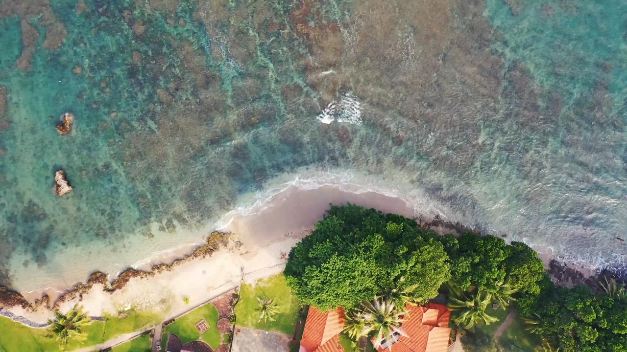 mei photos download images